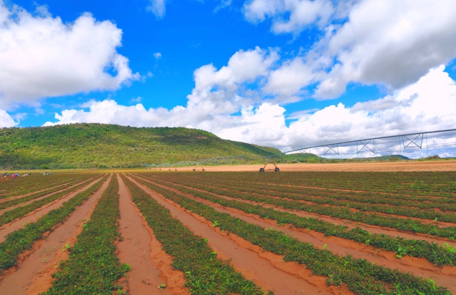 Commercial Property for Sale in Modimolle Limpopo