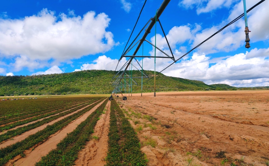 Commercial Property for Sale in Modimolle Limpopo