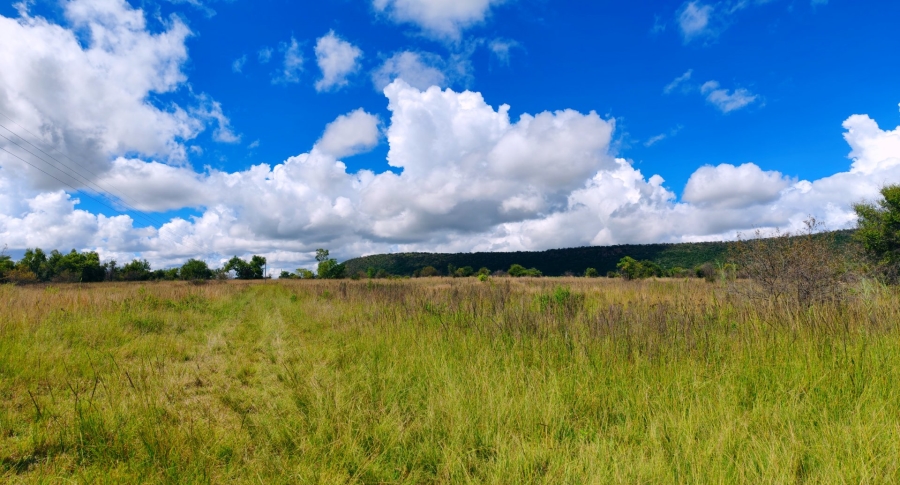 Commercial Property for Sale in Modimolle Limpopo