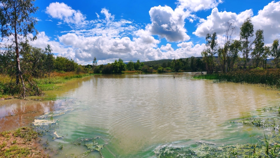 Commercial Property for Sale in Modimolle Limpopo