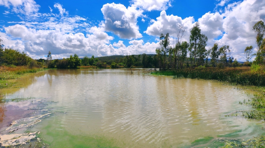 Commercial Property for Sale in Modimolle Limpopo