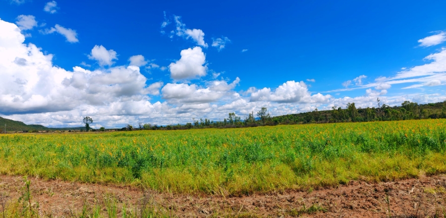 Commercial Property for Sale in Modimolle Limpopo