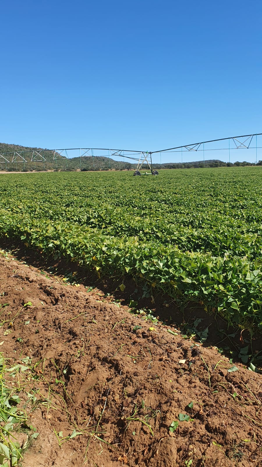 Commercial Property for Sale in Modimolle Limpopo