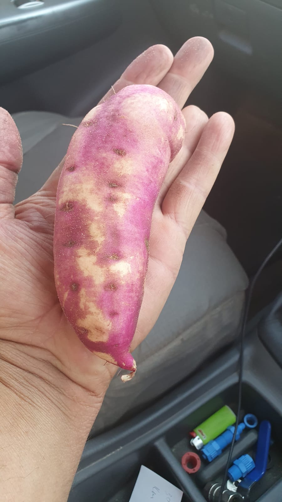 Commercial Property for Sale in Modimolle Limpopo