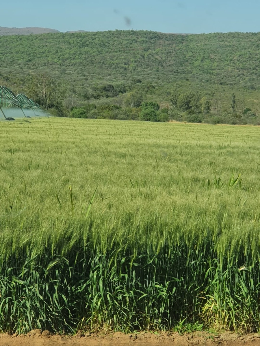 Commercial Property for Sale in Modimolle Limpopo