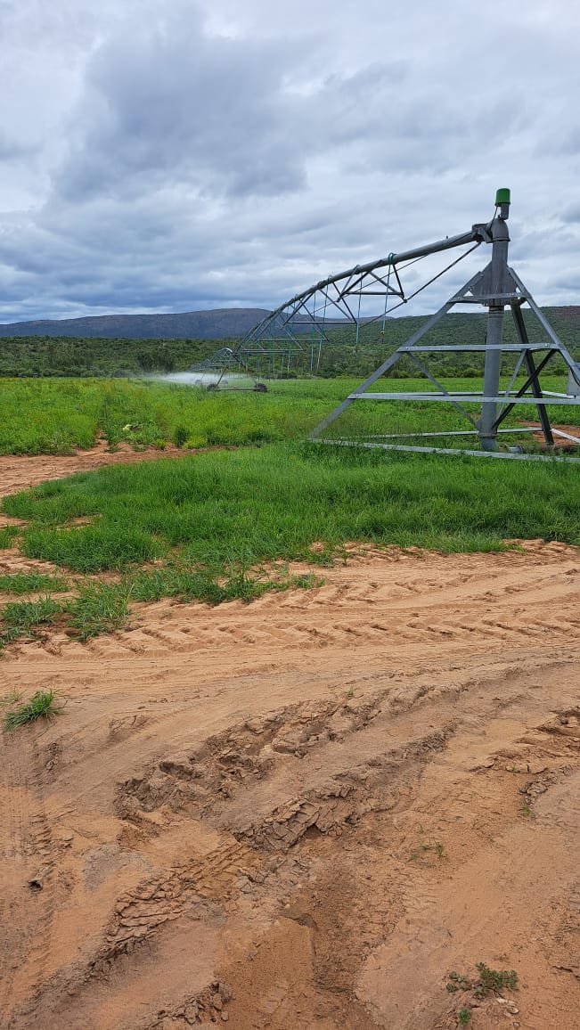 Commercial Property for Sale in Modimolle Limpopo