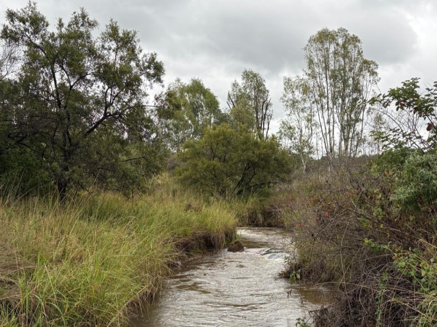 Commercial Property for Sale in Modimolle Rural Limpopo