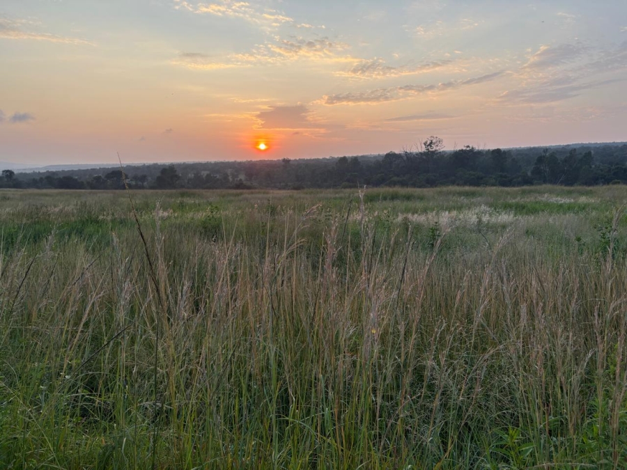 Commercial Property for Sale in Modimolle Rural Limpopo