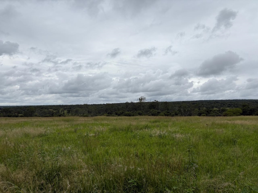 Commercial Property for Sale in Modimolle Rural Limpopo