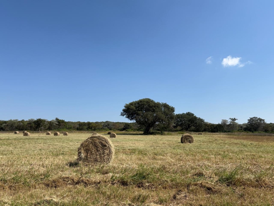 Commercial Property for Sale in Modimolle Rural Limpopo