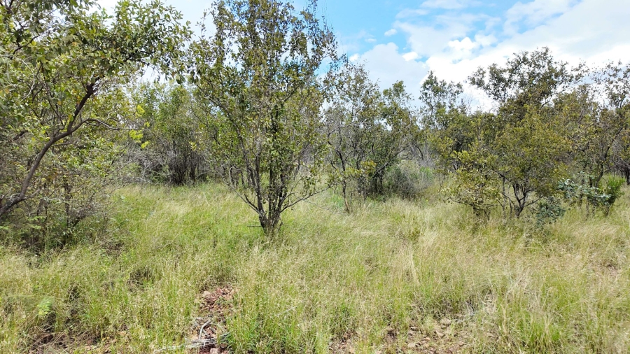 Commercial Property for Sale in Lephalale Limpopo