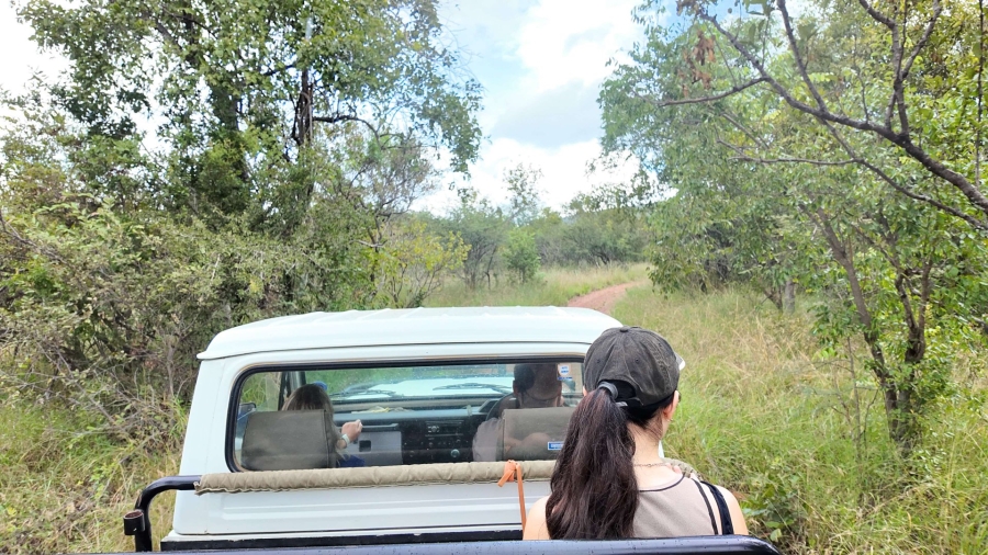 Commercial Property for Sale in Lephalale Limpopo