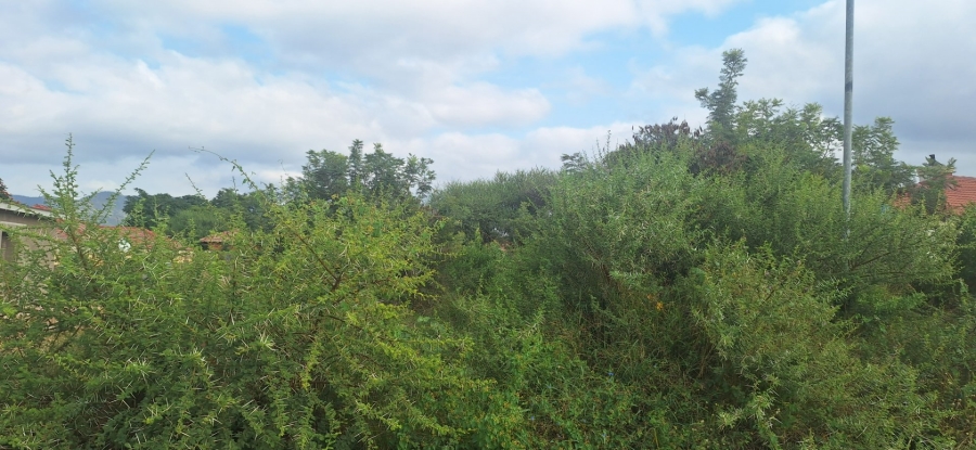 Commercial Property for Sale in Chroompark Limpopo