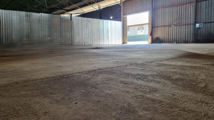 To Let commercial Property for Rent in Trim Park Limpopo