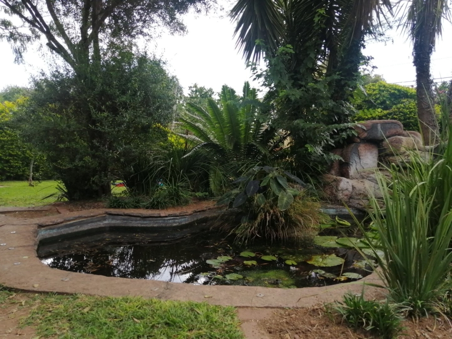 Commercial Property for Sale in Capricorn Limpopo
