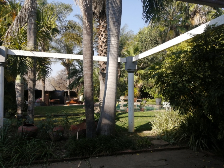 To Let commercial Property for Rent in Palm A H Limpopo