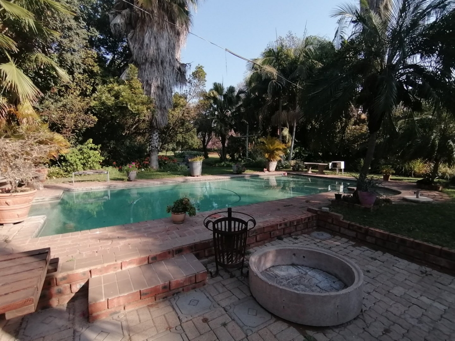 To Let commercial Property for Rent in Palm A H Limpopo