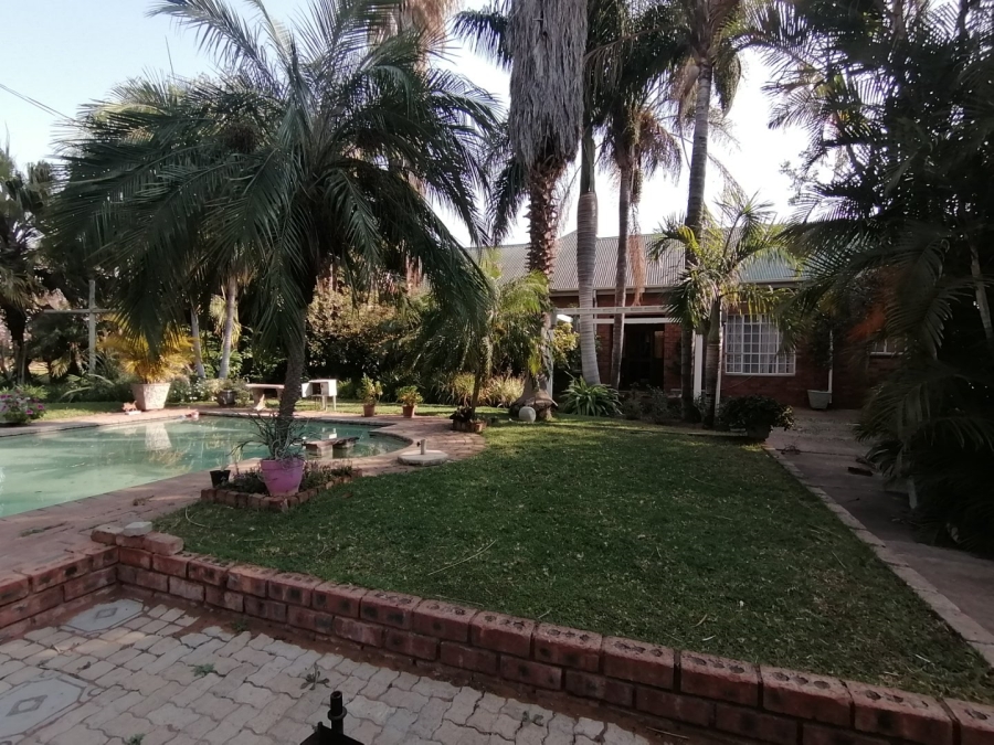 To Let commercial Property for Rent in Palm A H Limpopo