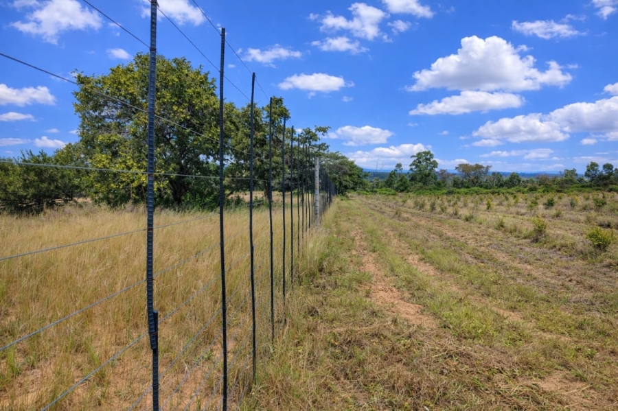 Commercial Property for Sale in Modimolle Limpopo