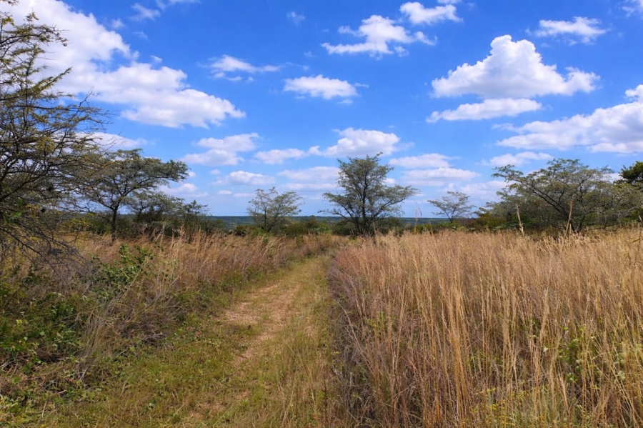 Commercial Property for Sale in Modimolle Limpopo