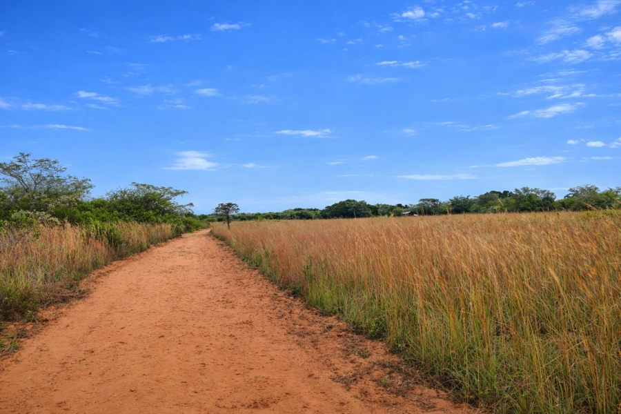 Commercial Property for Sale in Modimolle Limpopo