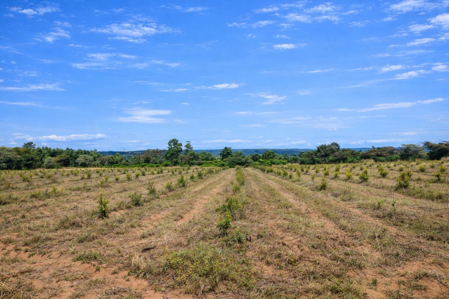 Commercial Property for Sale in Modimolle Limpopo