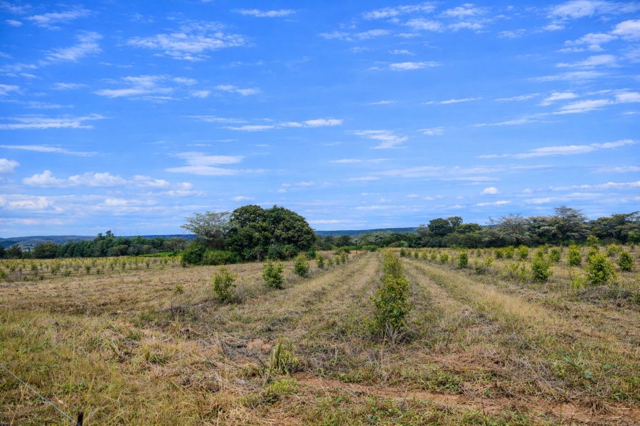Commercial Property for Sale in Modimolle Limpopo