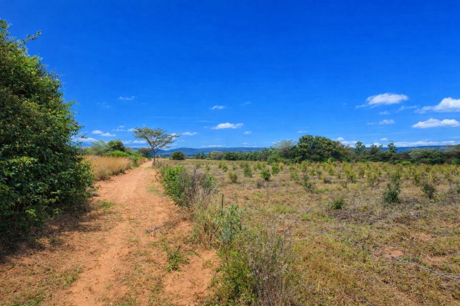 Commercial Property for Sale in Modimolle Limpopo