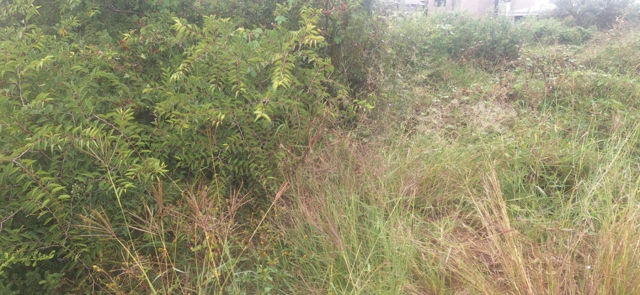 Commercial Property for Sale in Chroompark Limpopo