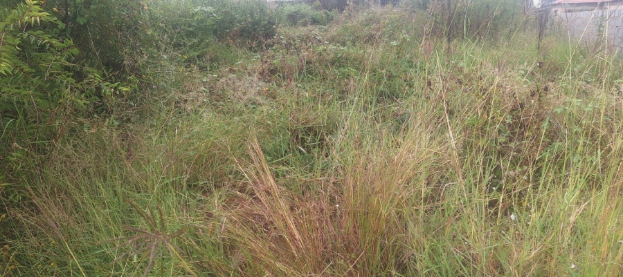 Commercial Property for Sale in Chroompark Limpopo