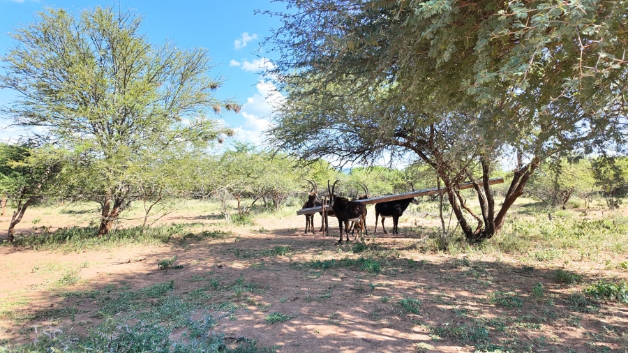 Commercial Property for Sale in Lephalale Limpopo