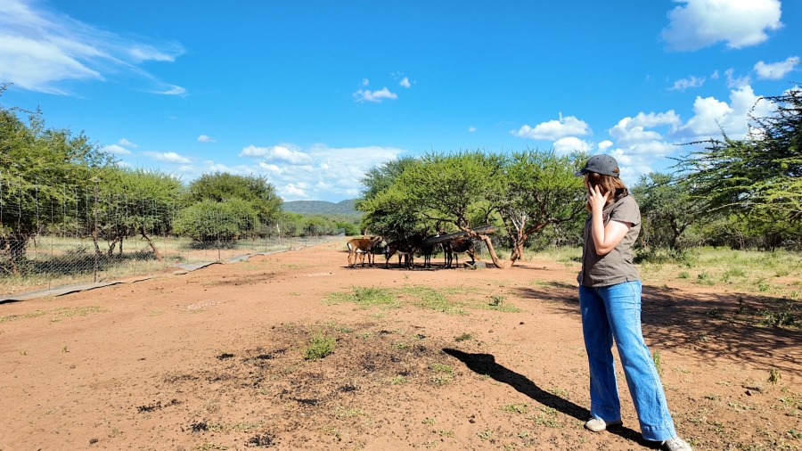 Commercial Property for Sale in Lephalale Limpopo