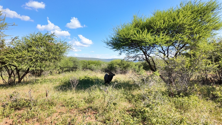Commercial Property for Sale in Lephalale Limpopo
