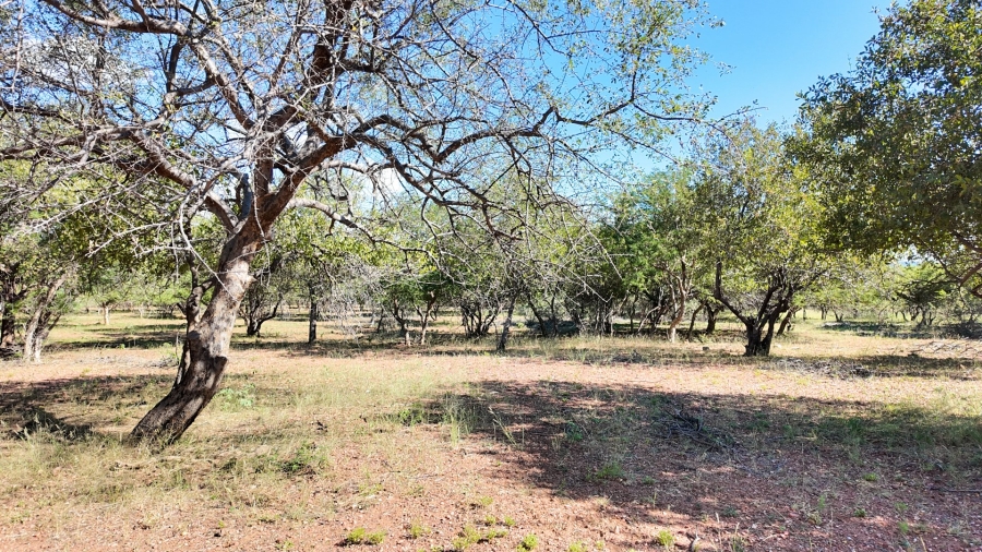 Commercial Property for Sale in Lephalale Limpopo
