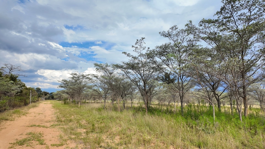 6 Bedroom Property for Sale in Modimolle Rural Limpopo