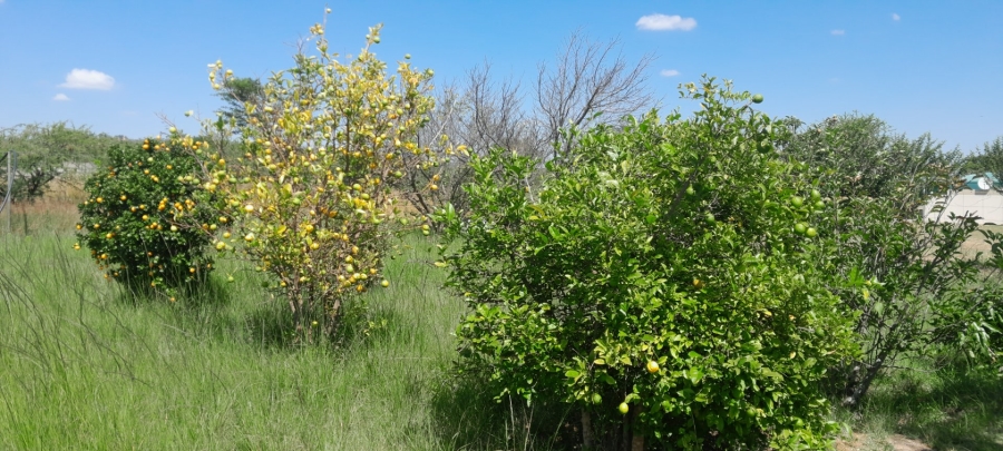 Commercial Property for Sale in Palmietfontein Limpopo