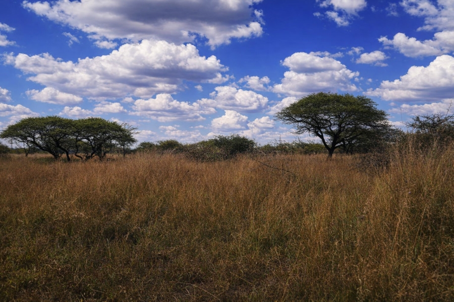 Commercial Property for Sale in Tweefontein A H Limpopo