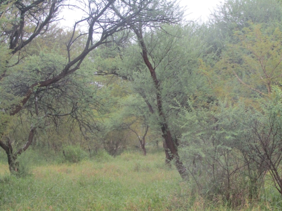 Commercial Property for Sale in Northam Limpopo