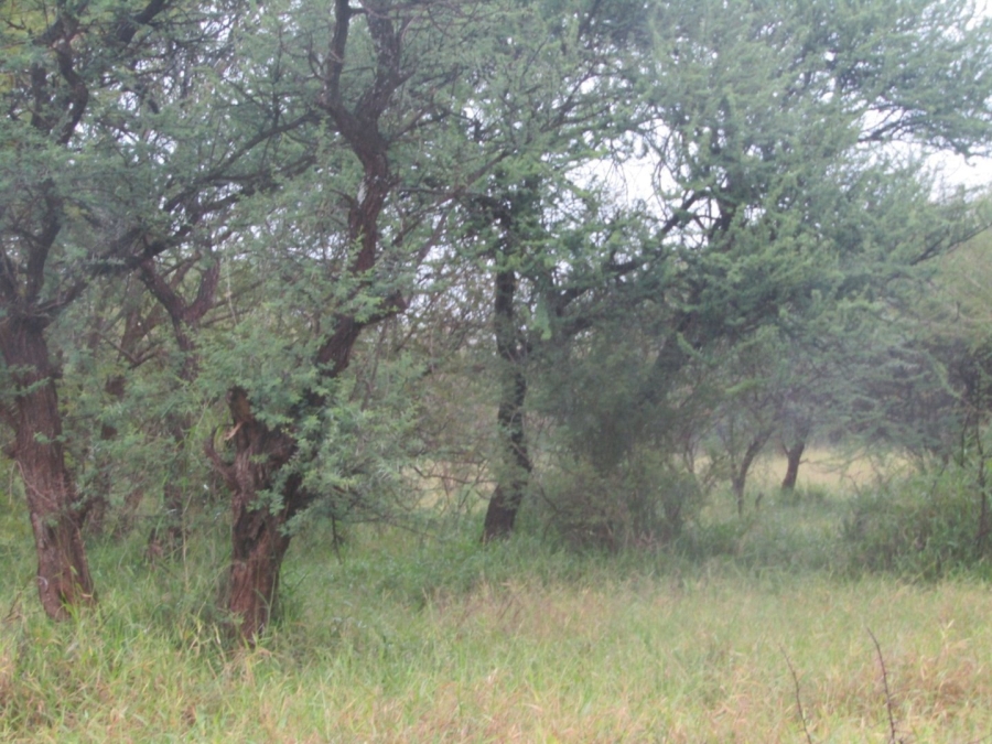 Commercial Property for Sale in Northam Limpopo