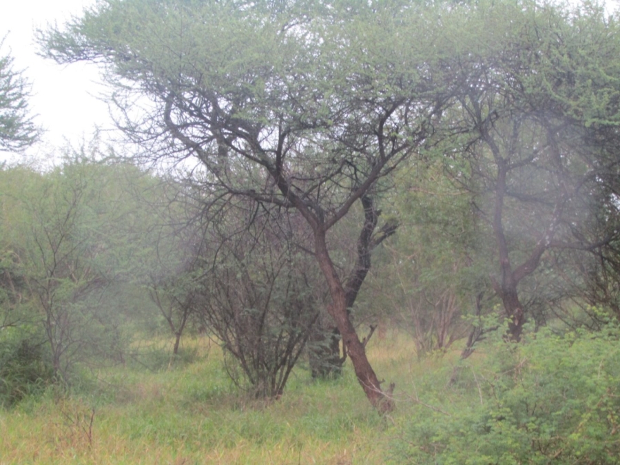 Commercial Property for Sale in Northam Limpopo