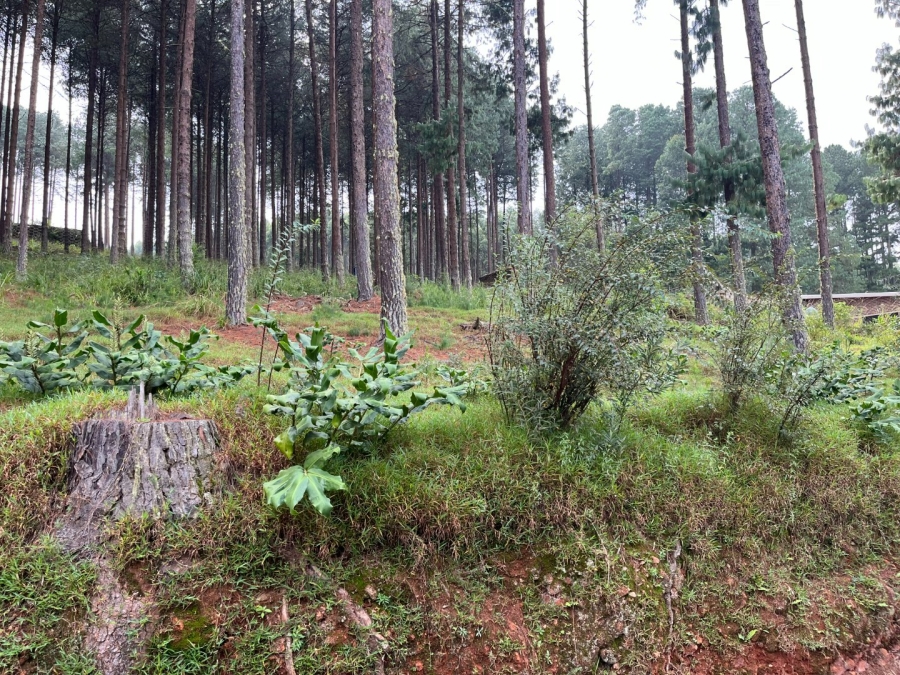 Commercial Property for Sale in Tzaneen Rural Limpopo