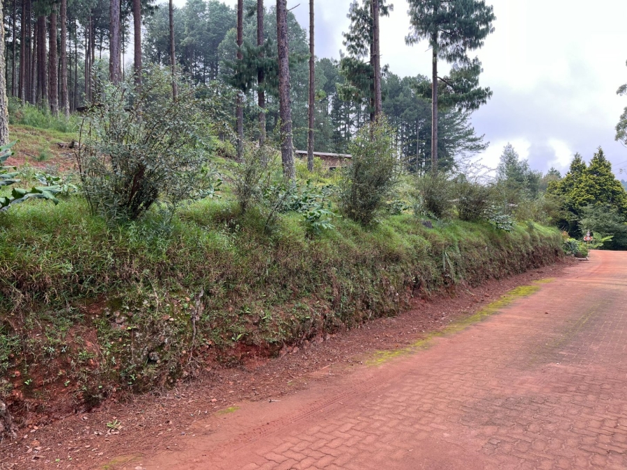 Commercial Property for Sale in Tzaneen Rural Limpopo