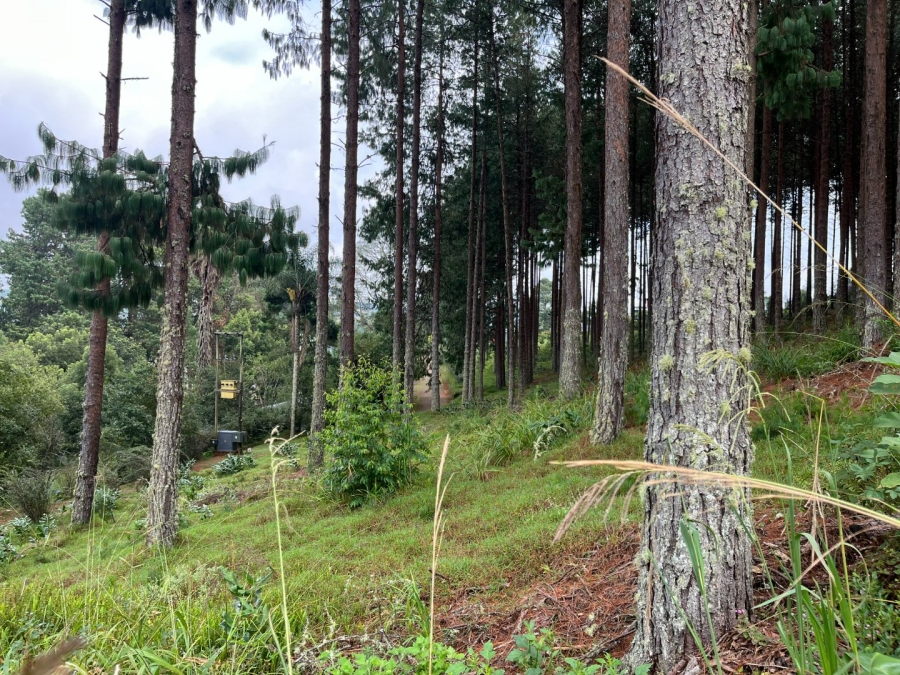 Commercial Property for Sale in Tzaneen Rural Limpopo