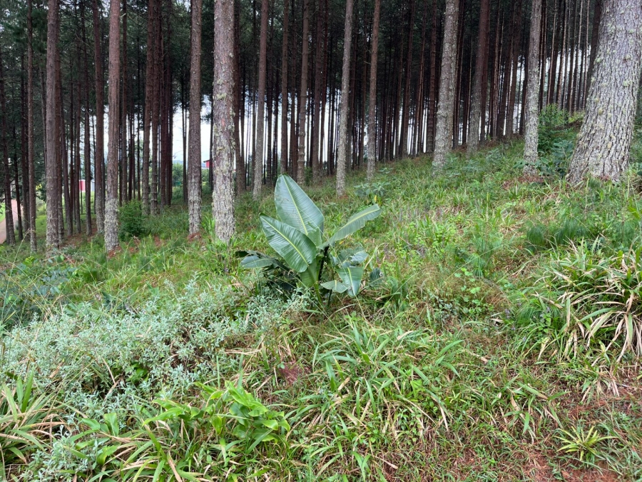 Commercial Property for Sale in Tzaneen Rural Limpopo