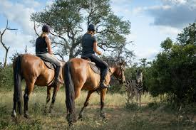 7 Bedroom Property for Sale in Hoedspruit Wildlife Estate Limpopo