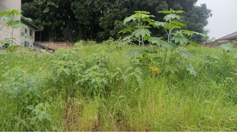 Commercial Property for Sale in Aquapark Limpopo