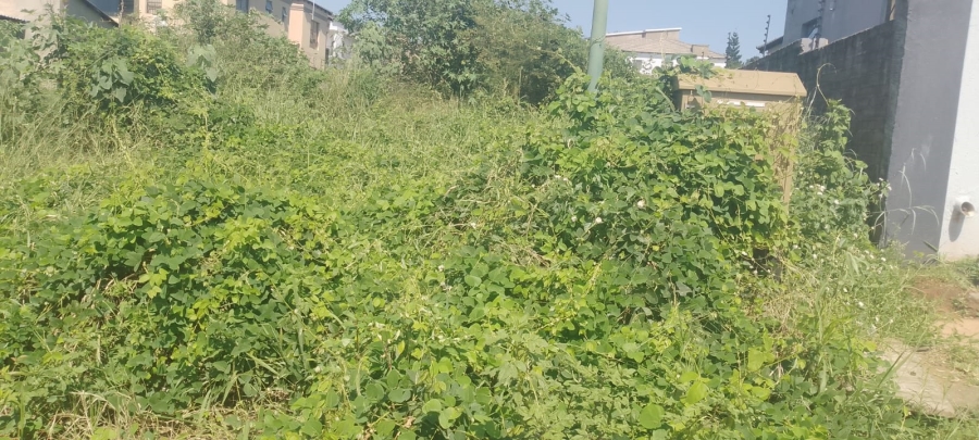 Commercial Property for Sale in Matumi Park Limpopo