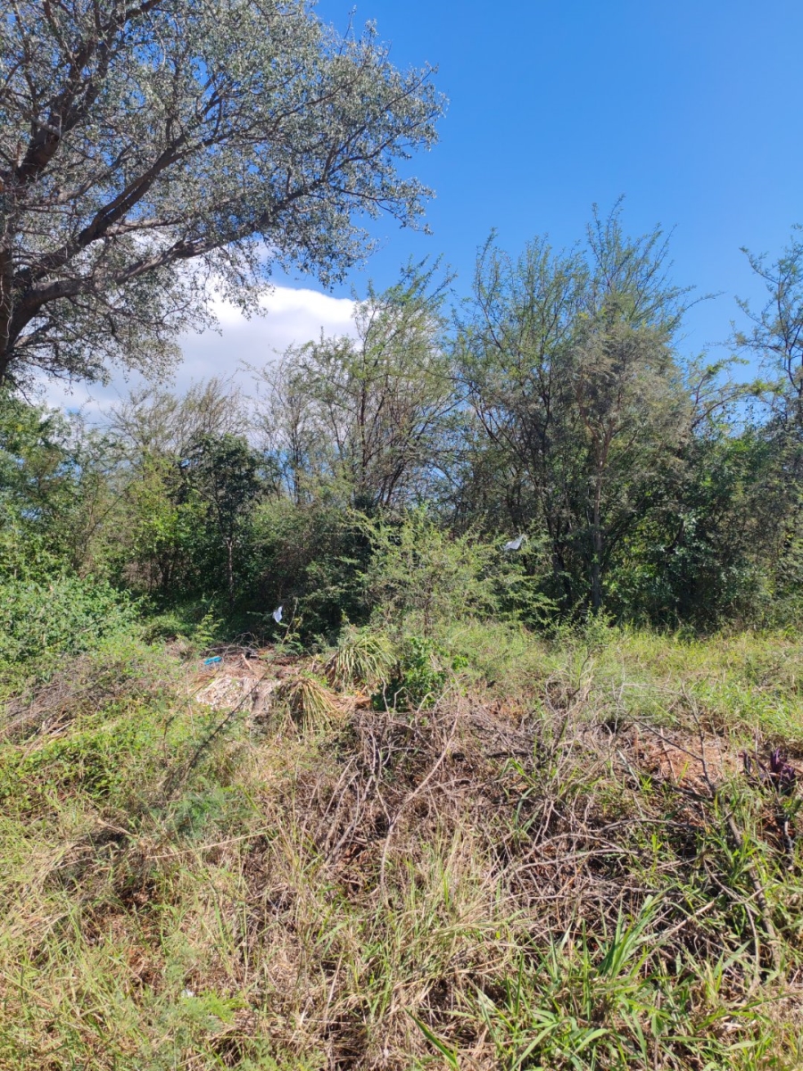 Commercial Property for Sale in Mookgopong Limpopo