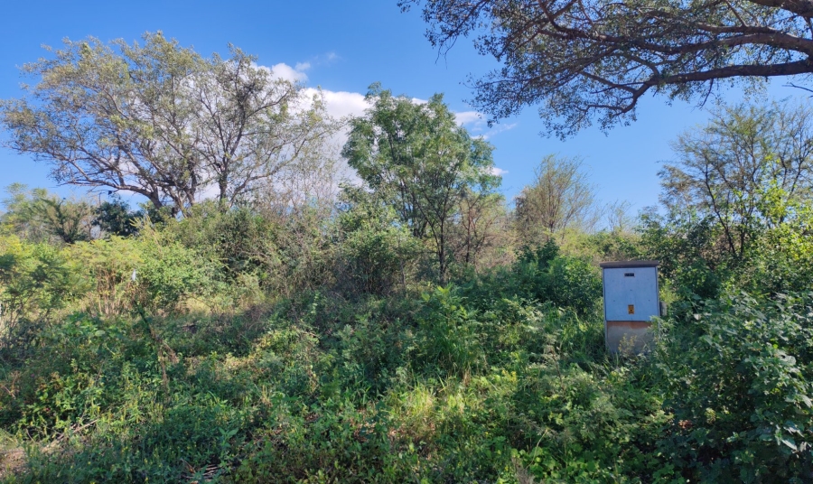 Commercial Property for Sale in Mookgopong Limpopo