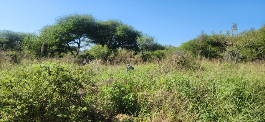 Commercial Property for Sale in Bendor Limpopo